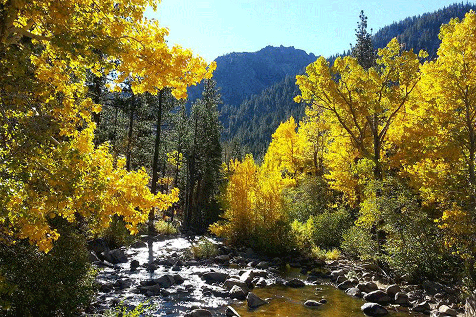 Picture of Arnold, CA provided as a link to find available homes in Arnold